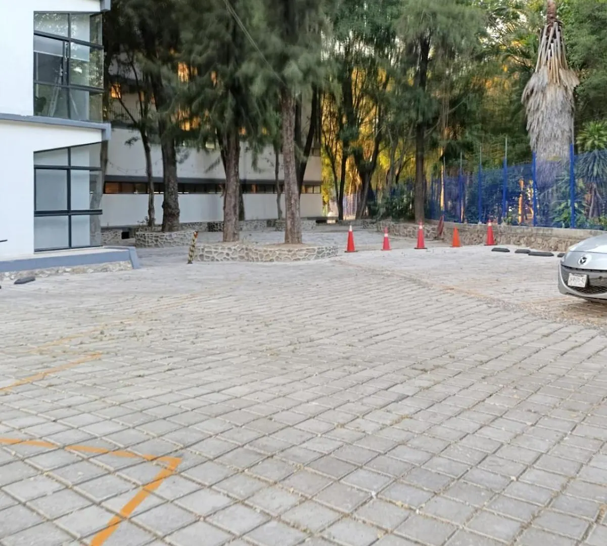 Azul Y Verde Guadalajara! 0*, グアダラハラ メキシコ